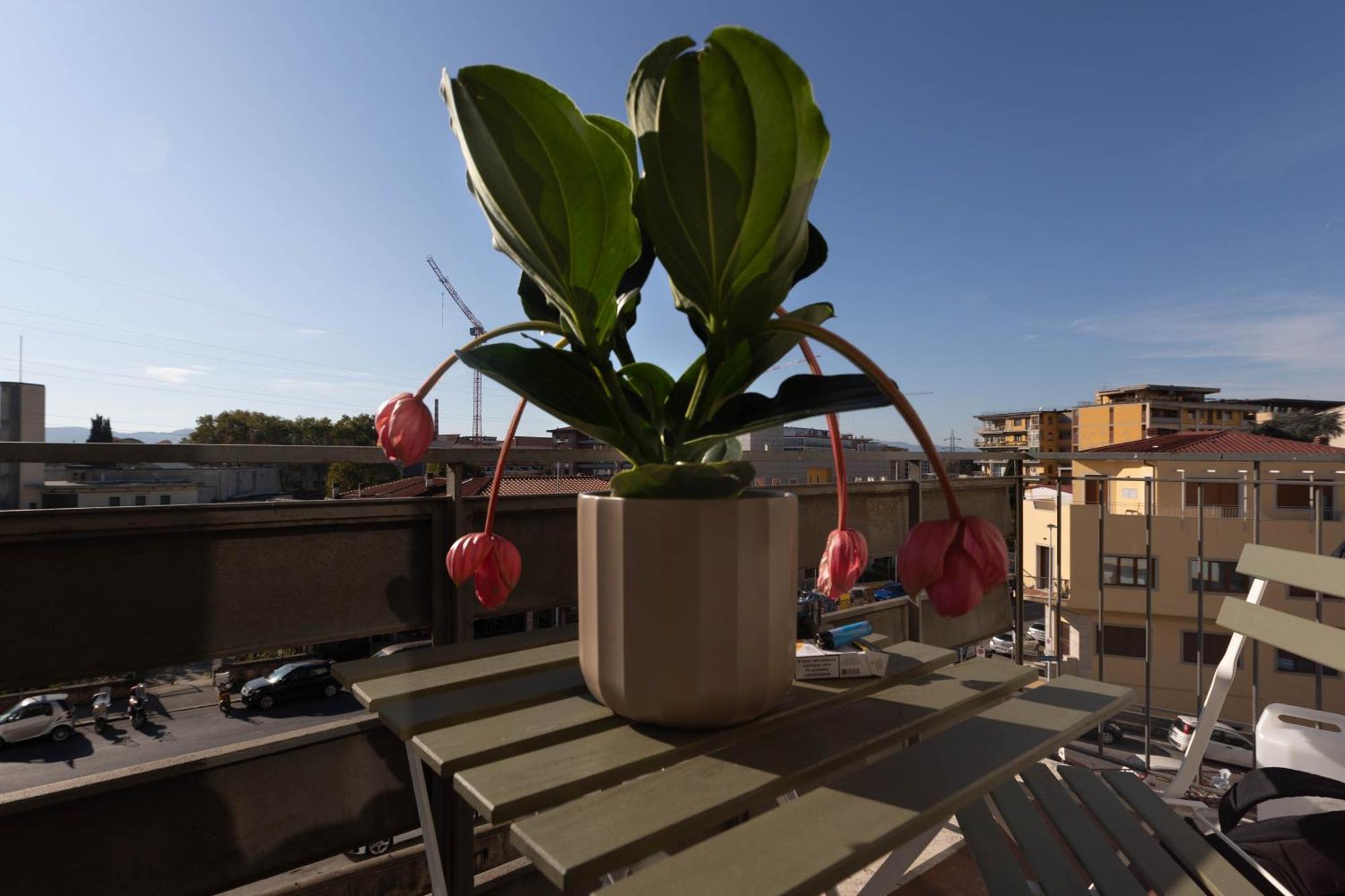 Florence Oasis Ngoại thất bức ảnh